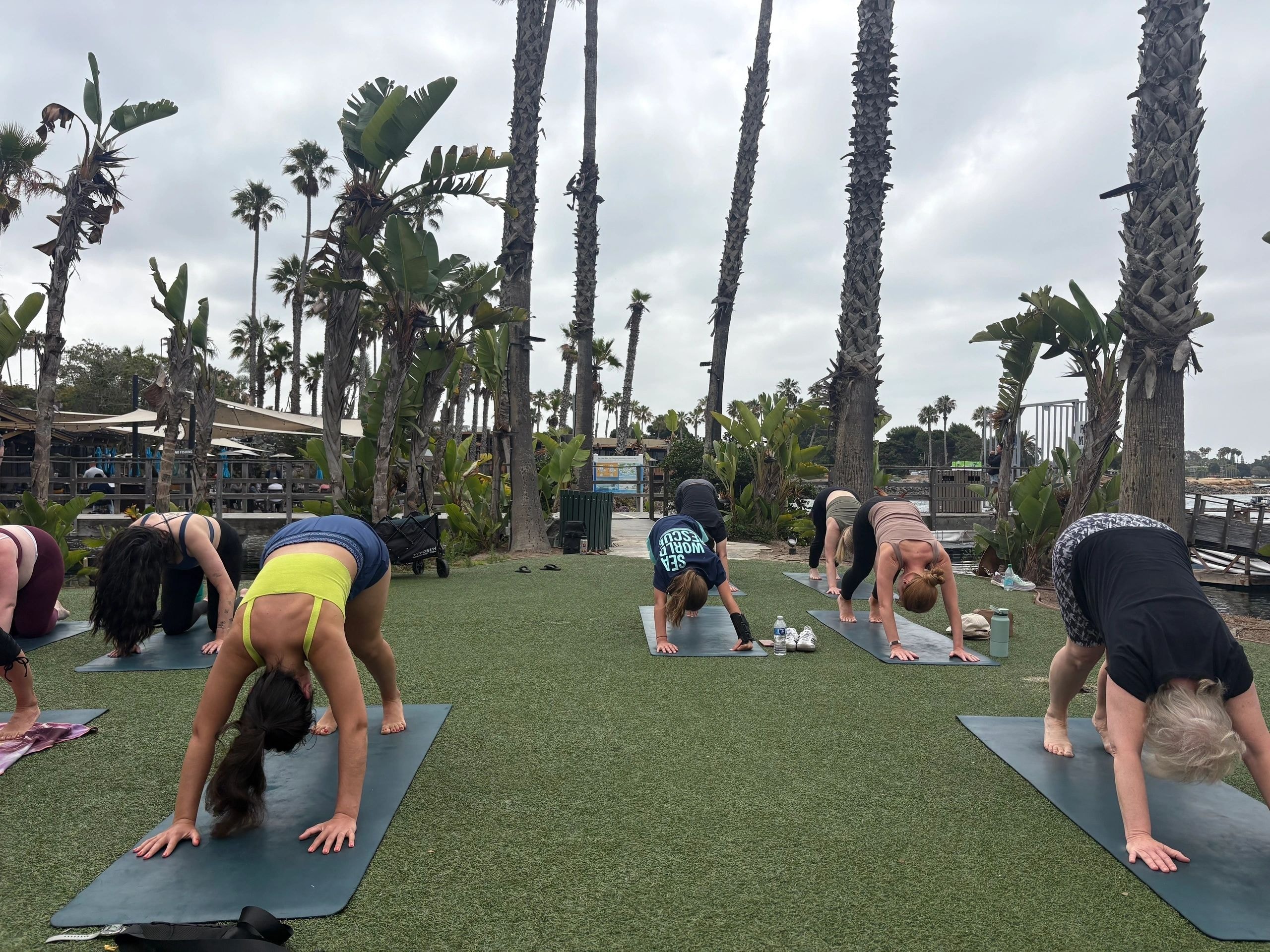 Outdoor yoga class in a tropical setting